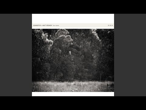 Seaworthy — Meroo Forest