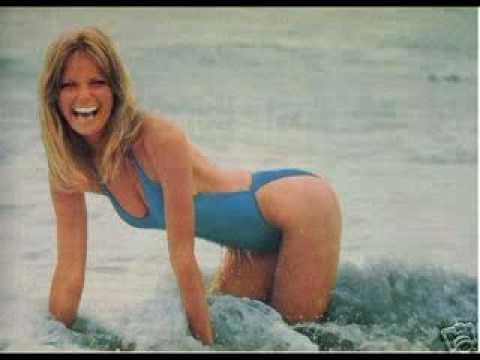 Cheryl Tiegs Swimsuit Retrospective 1966-2004