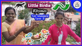 Little Birdie rhymes | 1st standard | Term 3 | Ennumezhuthum@PINJUKARANGAL