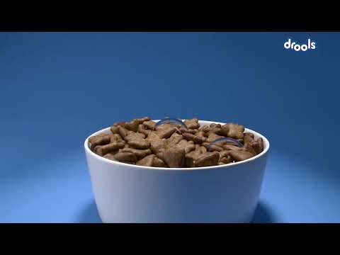 Drools Cat Food- Feed Real Feed Clean - video from Drools