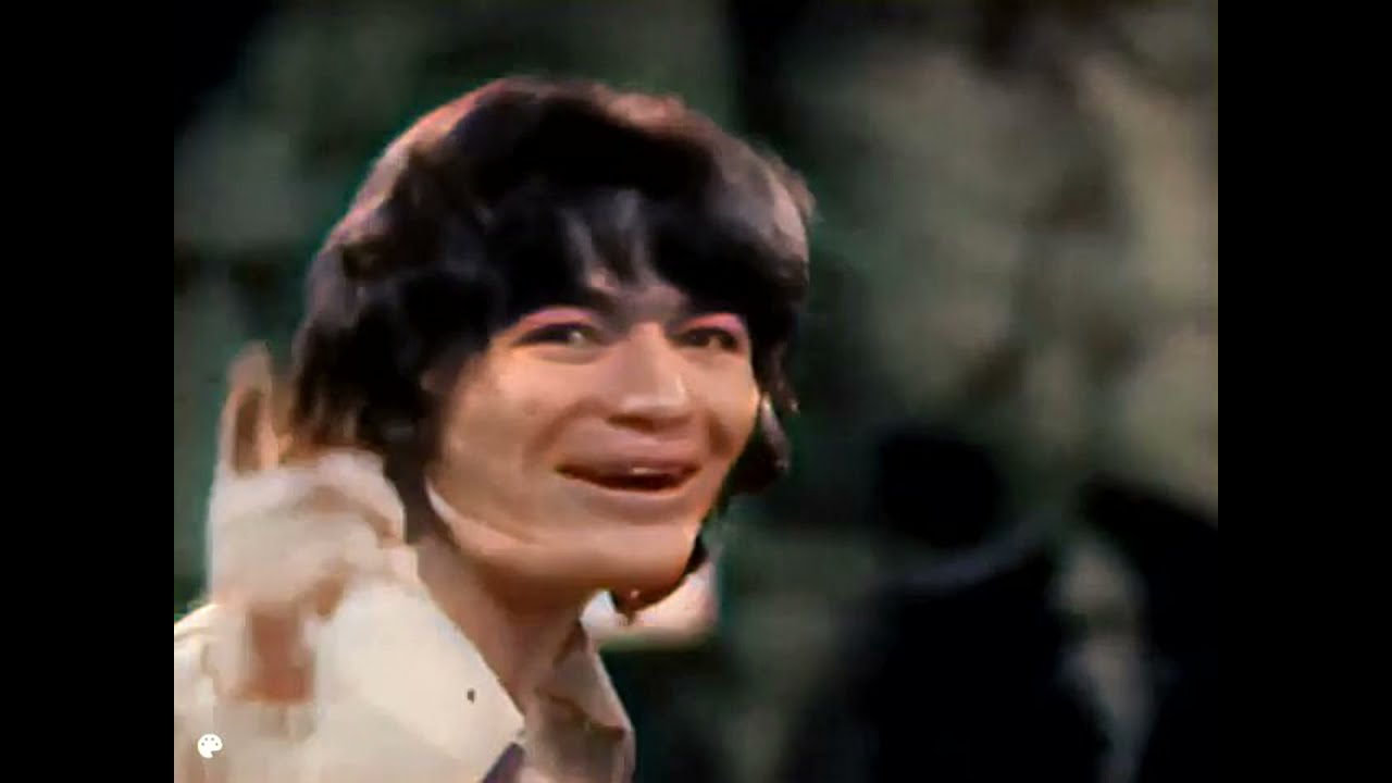 The Valentines   - Nick Nack Paddy Wack (1969)