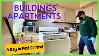 How to do Pest Control in Building and Apartments.