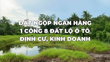 1 CÔNG 8 ĐẤT CÂY LÂU NĂM LỘ Ô TÔ GIÁ MỀM | THÀNH TRƯƠNG BĐS