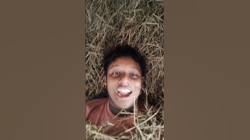 1 Subscriber = 1 Penny