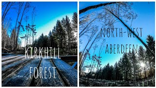 Kirkhill Forest Scotland Aberdeen February 2019