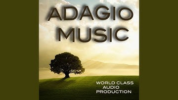 The Unstoppable Force Aalibrary