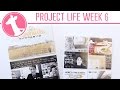 Project Life® Week 06 Using the March Kit | Freckled Fawn