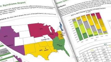 Our reporting capabilities