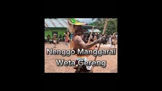 Lagu Nenggo Manggarai Weta Gereng