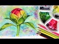 Top 10 Tips for Using Cheap Watercolor Supplies! (PLUS 5 reasons cheap watercolors are great!)