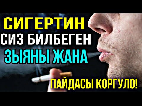 Video: Бороондун зыяны кандай?