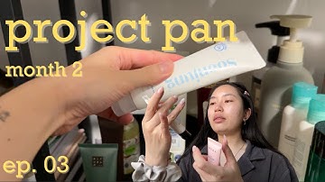 Project Pan update 2 | surviving with only samples & minis
