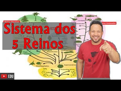 Vídeo: Qual é o sistema de classificação dos 5 reinos?