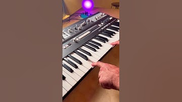 This synth is DIALED IN #udosuper6 #analogsynth #synthesizer #analogsynthesizer #moogaudio