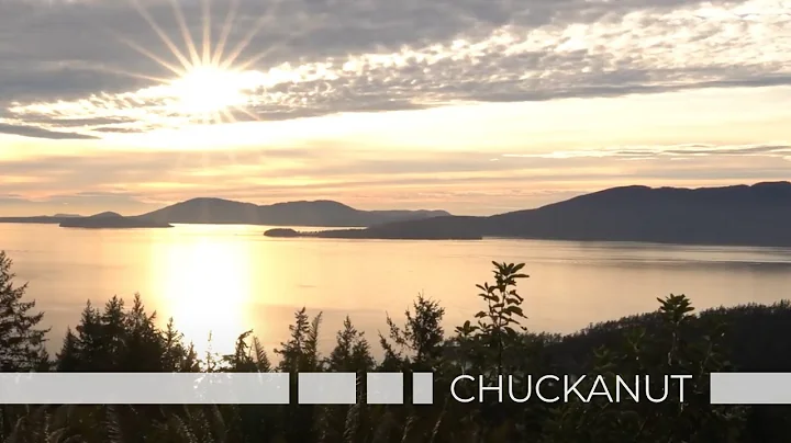 1615 Kathryn Lane | Custom Chuckanut Home Teaser |...