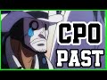 The Tragic Lives Of Cipher Pol Zero - One Piece Discussion | Tekking101
