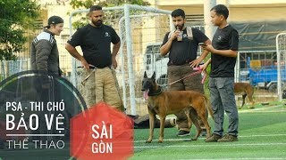 T2: Phần thi Chó Vâng Lời Cơ Bản (PDC)  Thi Chó Bảo vệ Thể thao PSA  Việt Nam/ PSA  K9 Sports Dog