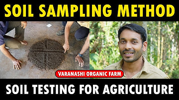 Soil sample Collection for Soil Testing | Soil sampling for Agriculture