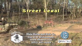 Dixie Horse & Mule 1