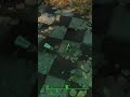 Flip Bottle in Fallout 4? 🧴