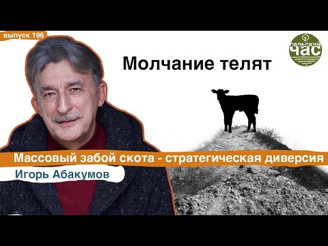 Молчание телят. Сельский час #196 (Игорь Абакумов)