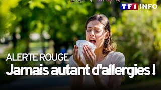 Allergie aux pollens : près de la moitié de la France en alerte rouge