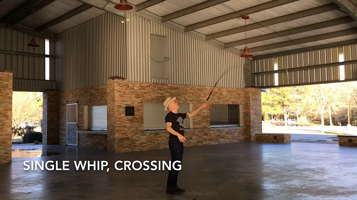 Whip Juggling, Learning Process