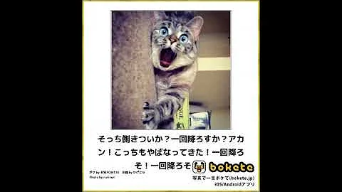 تحميل パンツ下ろしたら負け エロいボケてまとめ 厳選３０枚 Part7 巨乳率高め 大人向け