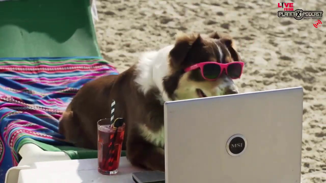 Live from X Podcast Promo YouTube