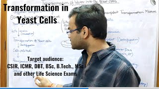 Transformation in Yeast Cells