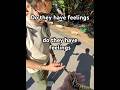 Do they have feelings #snake #ballpython #feelings