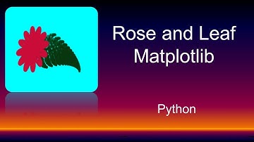How to draw beautiful rose with leaf in Python | Barnsley Fern and Rose