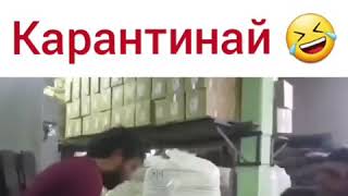 ВАКТЕ КИ КАРАНТИНАЙ. ШАПОШАП ХАНДА