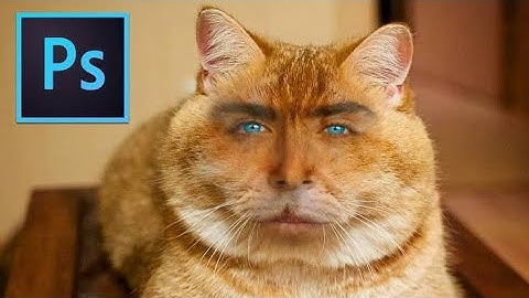 Adobe photoshop Fill-opacity Bangla tutorial video