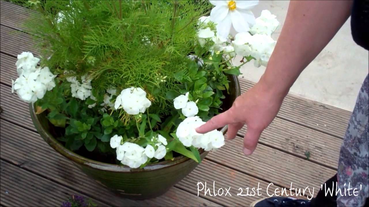 How to Make Beautiful Flower Pots at Home