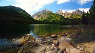 Earth Day | Inspired by Nature screenshot 5