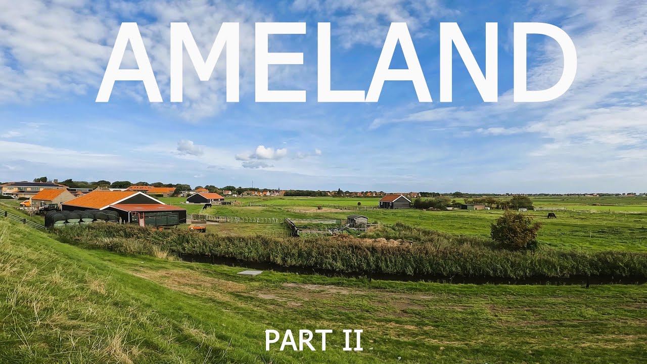 Ameland [Part II] - Island walking tour 4K - Amazing nature, lamas, horses, sea sounds and more