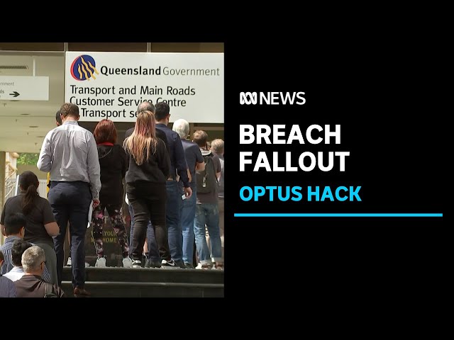 Optus faces mounting financial hits over data breach | ABC News