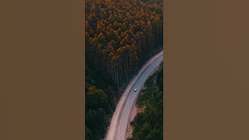 قل لا أملك لنفسي ضرا ولا نفعا - القارئ عبدالرحمن مسعد - #تلاوة_خاشعة #رمضان_كريم #قرآن #اكسبلور