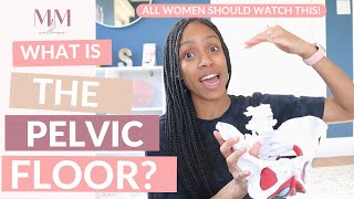 What is the pelvic floor? | Pelvic Floor 101