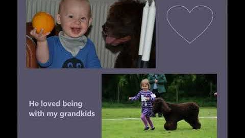 Kizoa Movie - Video - Slideshow Maker: Gustav