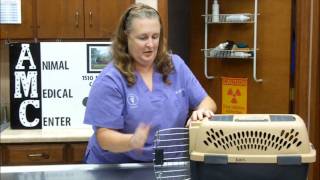 Cat Transportation tips, Animal Medical Center Cairo, Ga