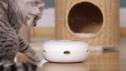 PetFusion Ambush Interactive Electronic Cat Toy