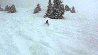 Powder skiing Vail on February 5, 2011