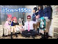 ドールボディサイズの最適な選び方とは？個人的感想を含めて85㎝～155㎝を実物比較 (aotumedoll mozudoll)