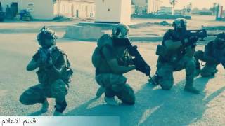 Iraqi Special Forces القوات الخاصة العراقية، جهاز مكافحة الارهاب، الرد السريع، الفرقة الذهبية