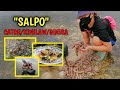 Salpo  peanut worm  catch and cook  eat fresh  lapu lapu city  ka megz