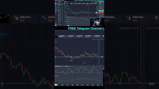 Top Trader in Quotex?