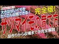 サツマイモの上手な育て方（植え付けから収穫まで完全解説）サツマイモ栽培のコツとポイントが分かる！