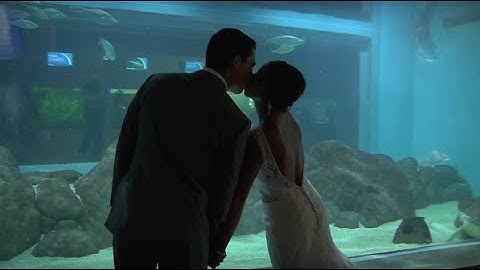 Taylor + Tom _ I Do at the Zoo ~ Toledo Zoo Wedding Videography